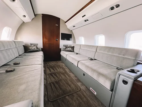 aircraft interior disinsection treatment WHO ICAO compliant service Florida